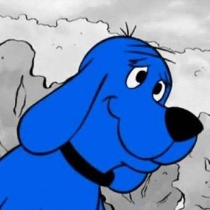 Meet your Posher, Zach